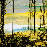 Jardins infinis - Dans la lumière - Forêt de Fontainebleau - Technique mixte - 40 x 50 cm