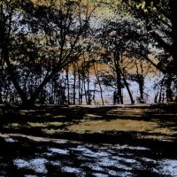 Jardins infinis - La forêt de lumière - Montreux - Technique mixte - 40 x 50 cm