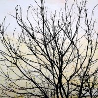 Jardins infinis - L’arbre dans le ciel - Montreux - Technique mixte - 40 x 50 cm
